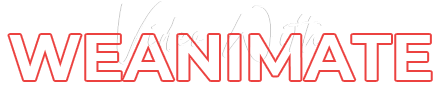 Video with WeAnimate